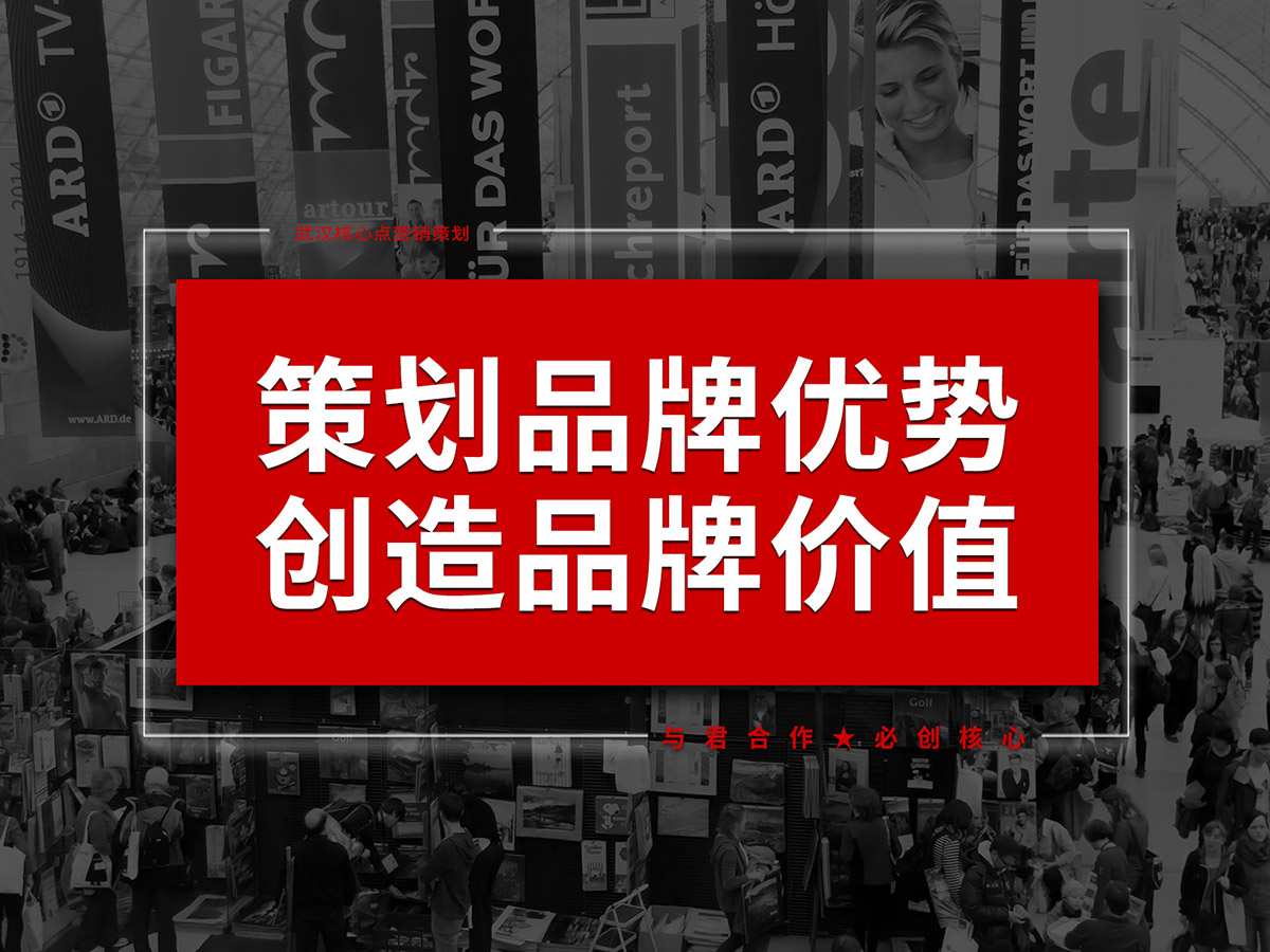 武漢品牌優(yōu)勢策劃設(shè)計(jì)，商業(yè)模式策劃